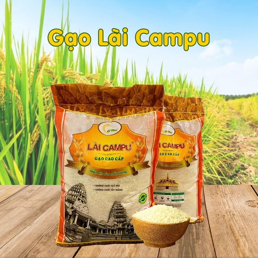 Gạo Cao Cấp Lài Campu - LCP10